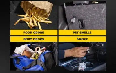 Meguiar’s Car Air Refresher – Spray Aroma Carro Nuevo - Image 4